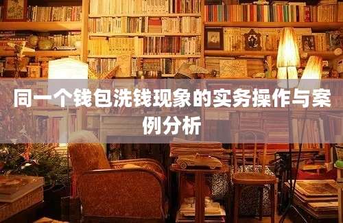 同一个钱包洗钱现象的实务操作与案例分析