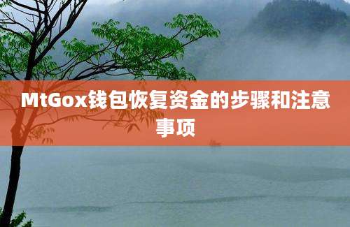 MtGox钱包恢复资金的步骤和注意事项