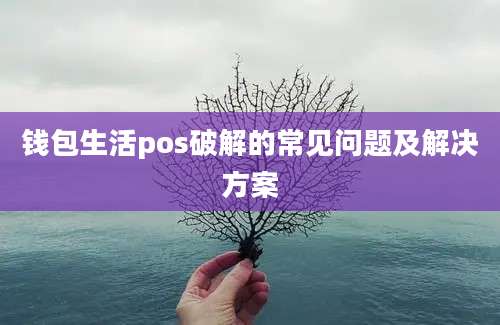 钱包生活pos破解的常见问题及解决方案