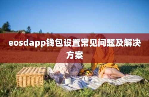 eosdapp钱包设置常见问题及解决方案