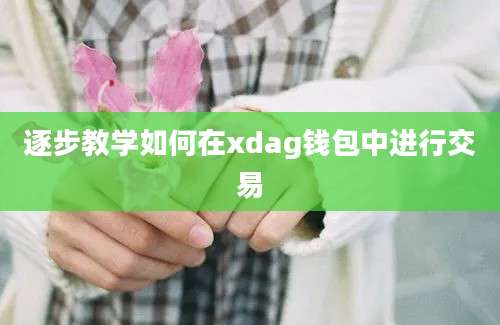 逐步教学如何在xdag钱包中进行交易