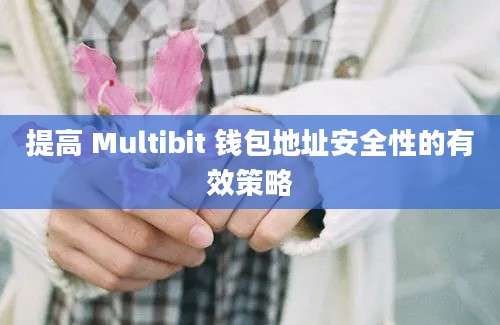 提高 Multibit 钱包地址安全性的有效策略