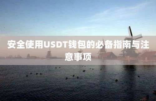 安全使用USDT钱包的必备指南与注意事项