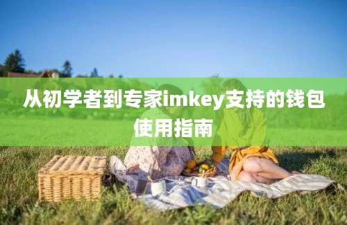 从初学者到专家imkey支持的钱包使用指南