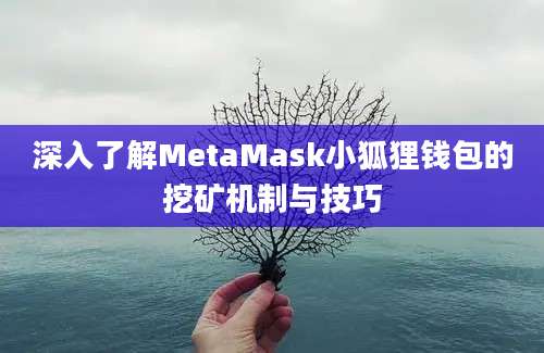 深入了解MetaMask小狐狸钱包的挖矿机制与技巧