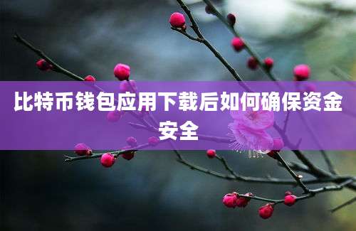 比特币钱包应用下载后如何确保资金安全