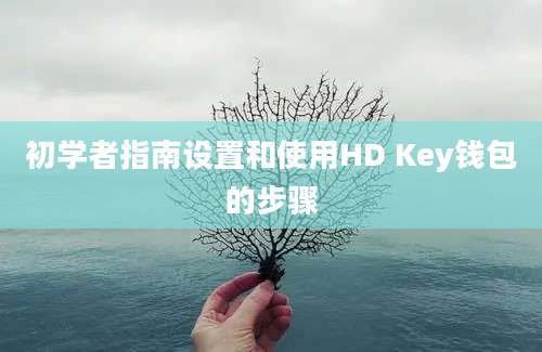 初学者指南设置和使用HD Key钱包的步骤