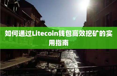 如何通过Litecoin钱包高效挖矿的实用指南