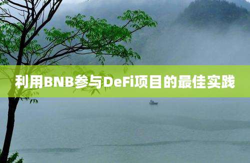 利用BNB参与DeFi项目的最佳实践