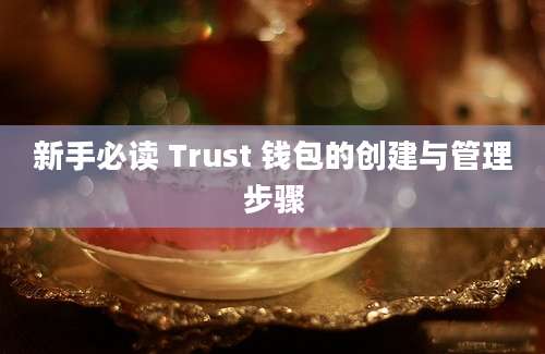 新手必读 Trust 钱包的创建与管理步骤