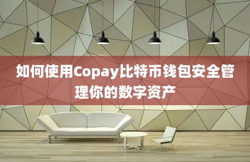 如何使用Copay比特币钱包安全管理你的数字资产