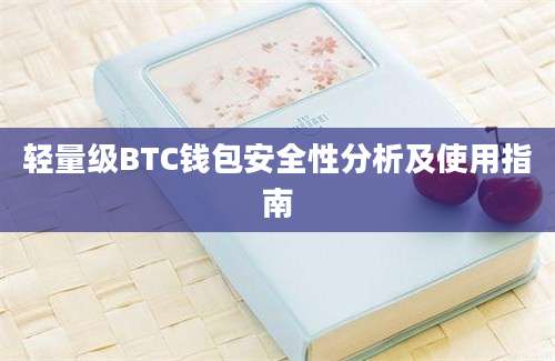 轻量级BTC钱包安全性分析及使用指南