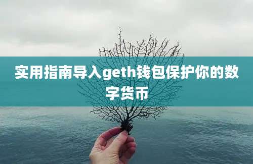 实用指南导入geth钱包保护你的数字货币