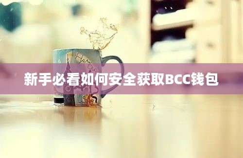 新手必看如何安全获取BCC钱包