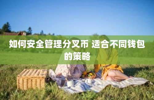 如何安全管理分叉币 适合不同钱包的策略