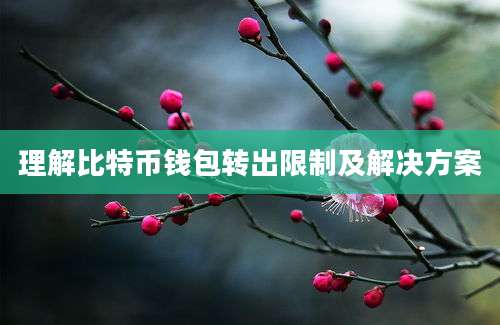 理解比特币钱包转出限制及解决方案