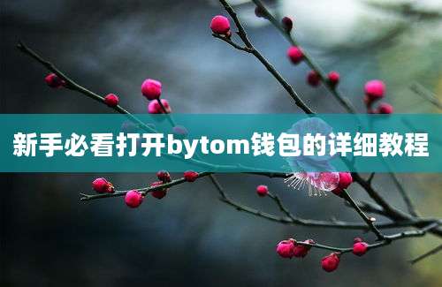 新手必看打开bytom钱包的详细教程