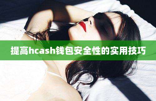 提高hcash钱包安全性的实用技巧