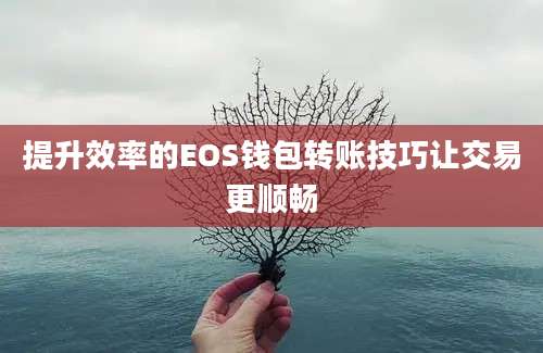 提升效率的EOS钱包转账技巧让交易更顺畅