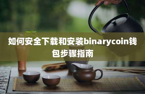 如何安全下载和安装binarycoin钱包步骤指南