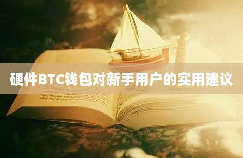 硬件BTC钱包对新手用户的实用建议