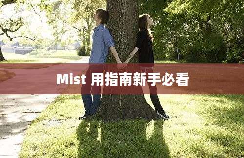 Mist 用指南新手必看