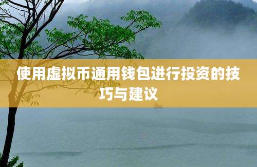 使用虚拟币通用钱包进行投资的技巧与建议