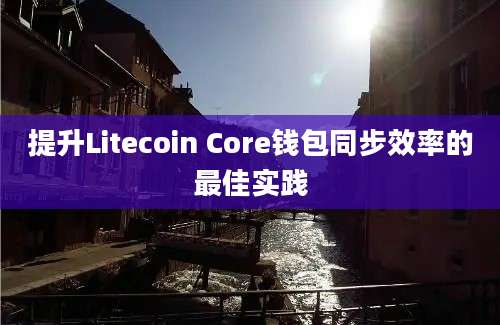 提升Litecoin Core钱包同步效率的最佳实践