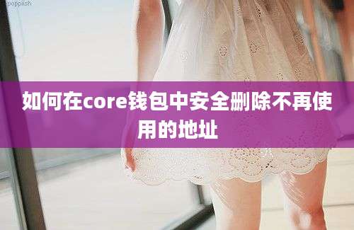 如何在core钱包中安全删除不再使用的地址