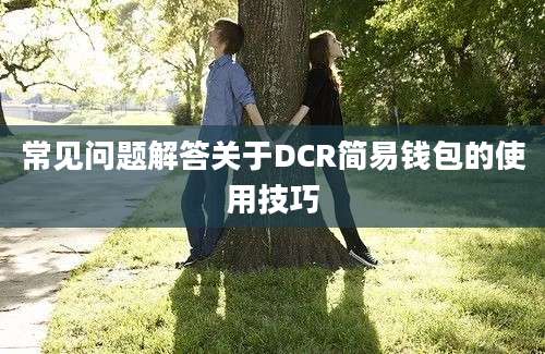 常见问题解答关于DCR简易钱包的使用技巧