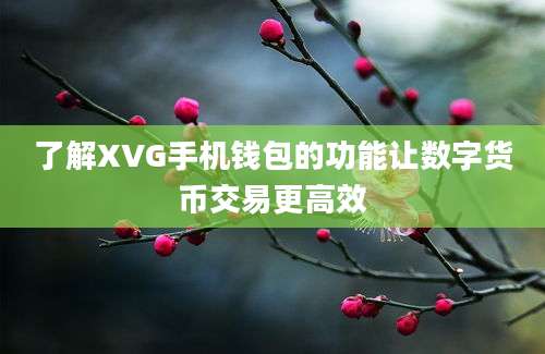 了解XVG手机钱包的功能让数字货币交易更高效