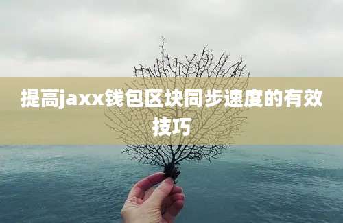 提高jaxx钱包区块同步速度的有效技巧