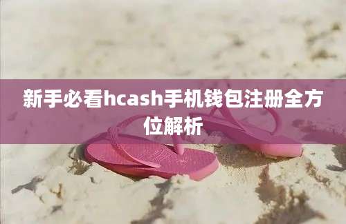 新手必看hcash手机钱包注册全方位解析