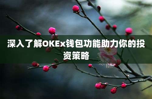 深入了解OKEx钱包功能助力你的投资策略