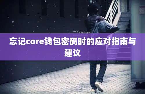 忘记core钱包密码时的应对指南与建议