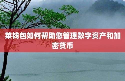 莱钱包如何帮助您管理数字资产和加密货币