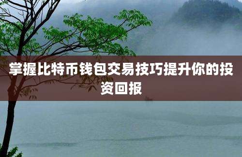 掌握比特币钱包交易技巧提升你的投资回报