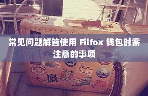 常见问题解答使用 Filfox 钱包时需注意的事项