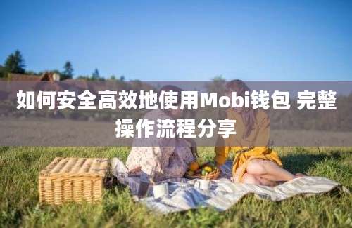 如何安全高效地使用Mobi钱包 完整操作流程分享