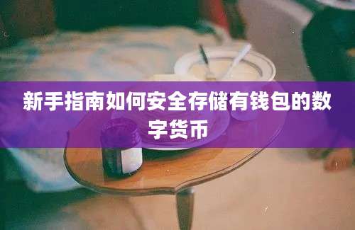 新手指南如何安全存储有钱包的数字货币