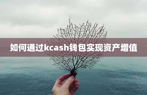 如何通过kcash钱包实现资产增值