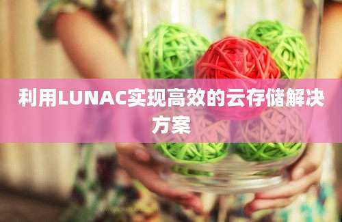 利用LUNAC实现高效的云存储解决方案