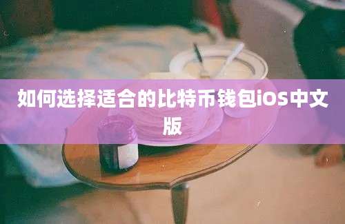 如何选择适合的比特币钱包iOS中文版