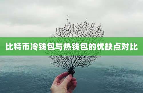 比特币冷钱包与热钱包的优缺点对比