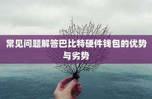 常见问题解答巴比特硬件钱包的优势与劣势