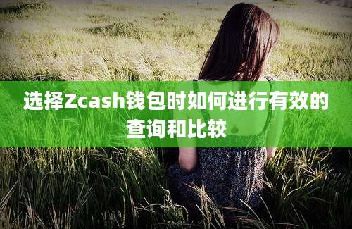 选择Zcash钱包时如何进行有效的查询和比较