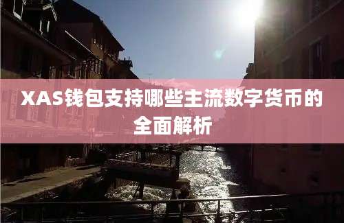 XAS钱包支持哪些主流数字货币的全面解析