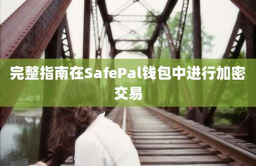 完整指南在SafePal钱包中进行加密交易