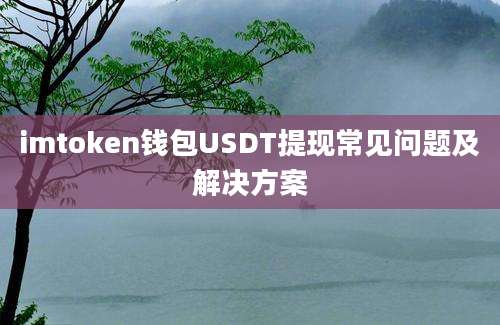 imtoken钱包USDT提现常见问题及解决方案