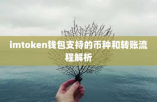 imtoken钱包支持的币种和转账流程解析